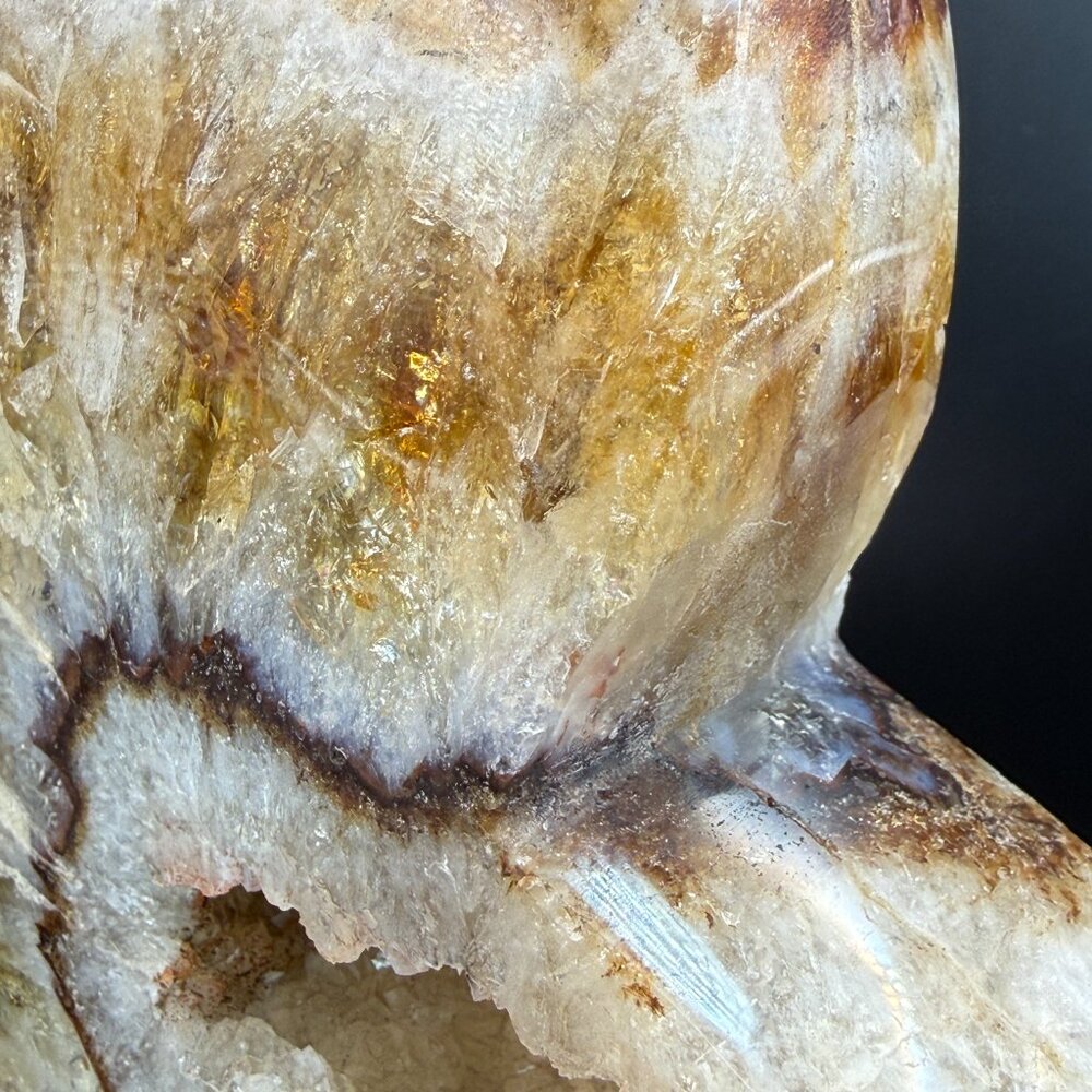 Citrine Cat Carving Extra Large Heat Treated Amethyst Quartz Crystal Animal 51 - Picture 14 of 16